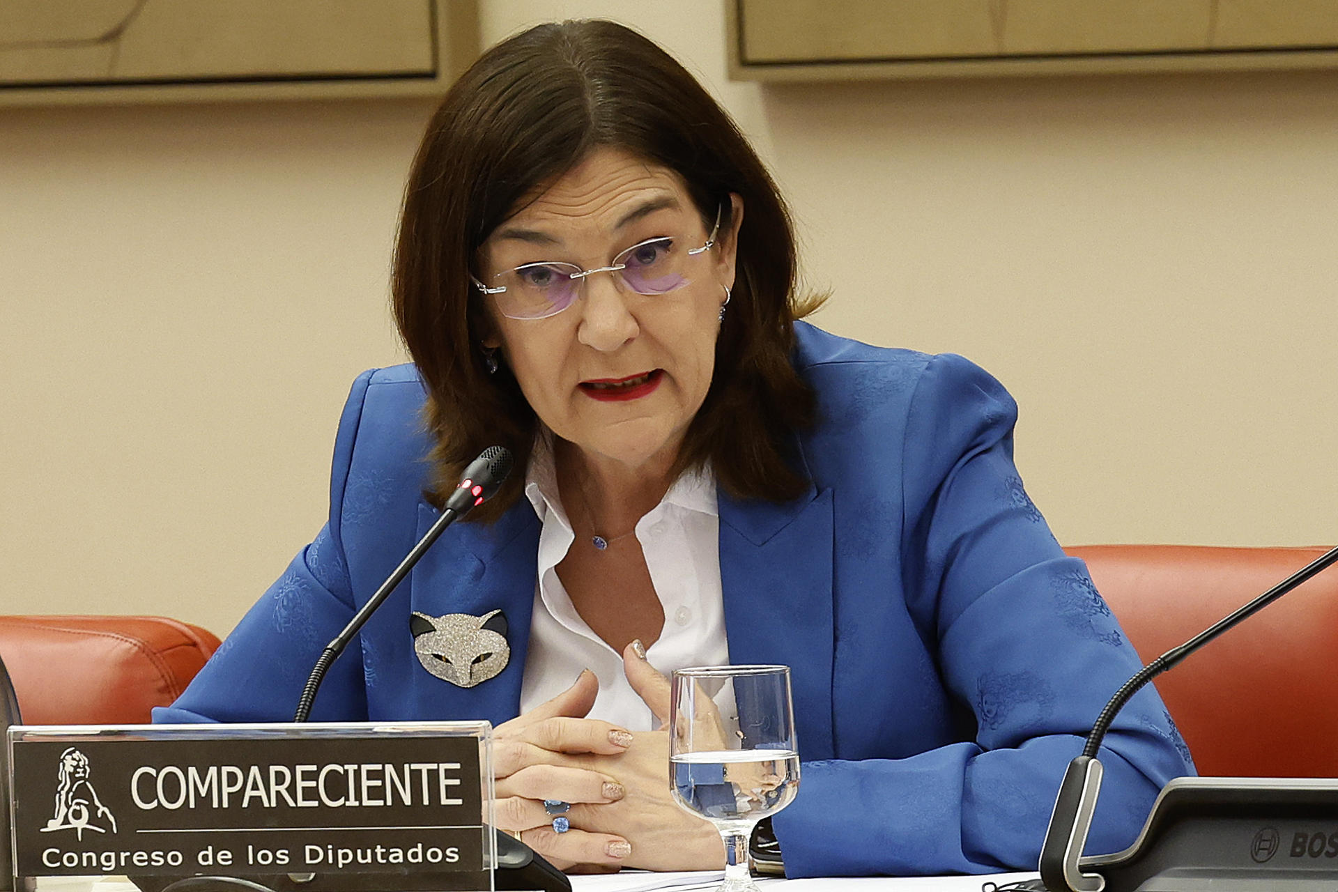 La presidenta de la Comisión Nacional del Mercado de la Competencia (CNMC), Cani Fernández comparece este martes en el Congreso de los Diputados para dar cuenta de la información de la que dispone sobre las causas del apagón del pasado 28 de abril y del trabajo que ha realizado como organismo supervisor. EFE/JP Gandul