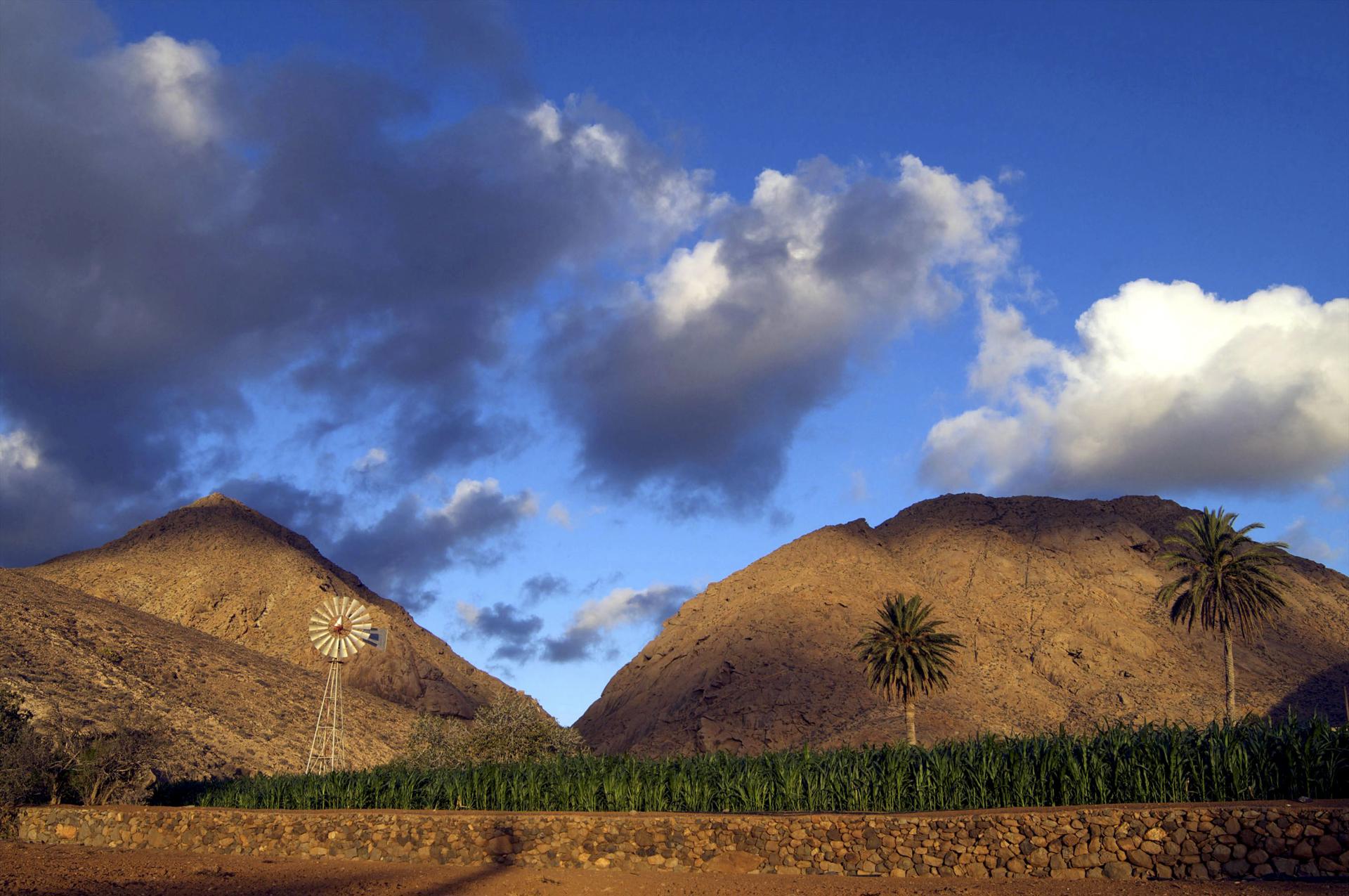 En la imagen de archivo plantación tradicional de maíz en Canarias. EFE/Carlos de Saá
