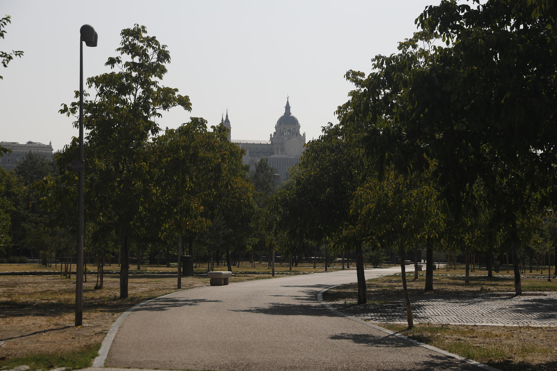 Imagen de archivo de una zona verde junto a la ciudad de Madrid. EFE/ Sofía Carabias