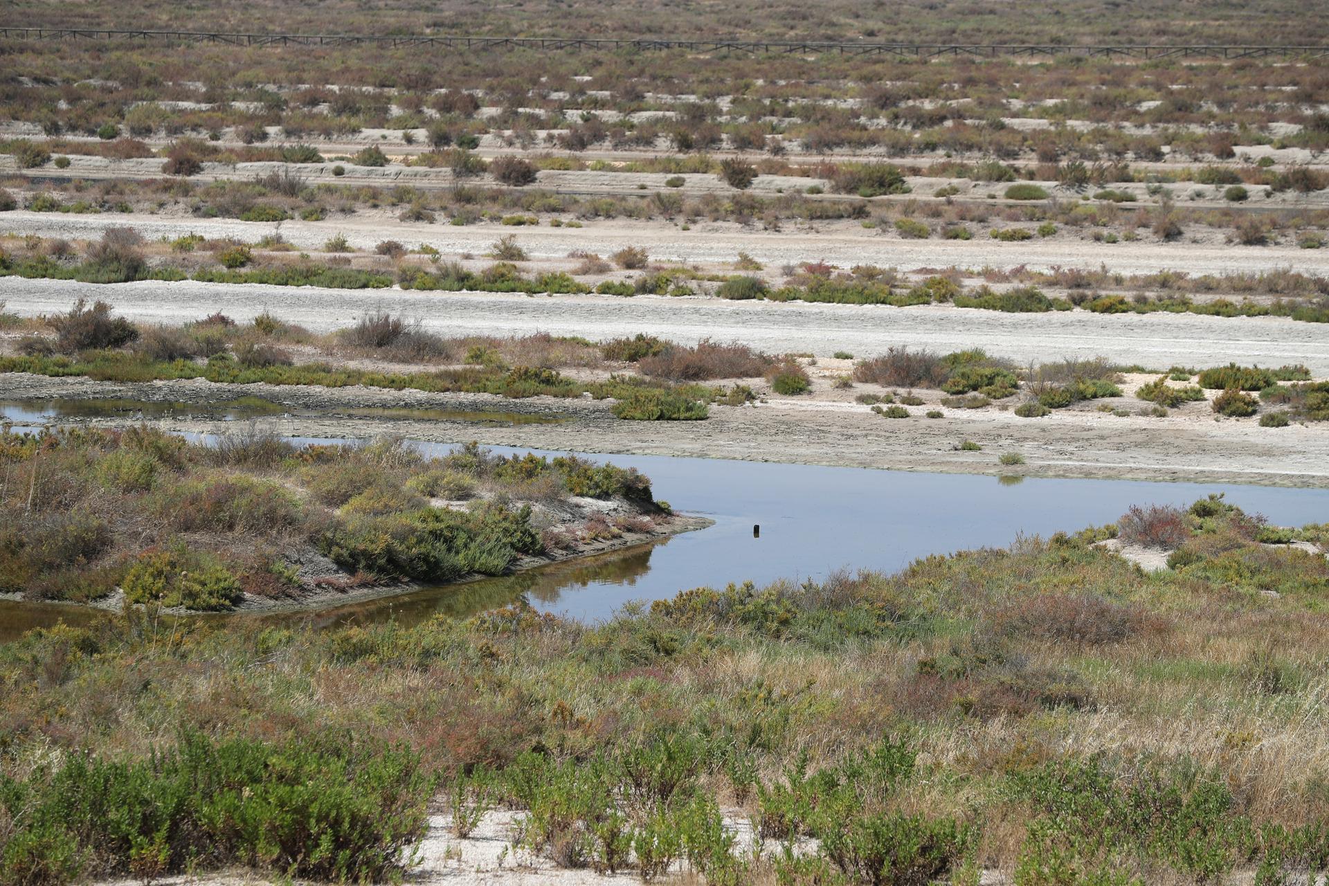 Fotografía de archivo de la salinas de la Bahía de Cádiz. EFE/J.J. Guillén