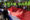 Una persona sostiene una bandera durante la manifestación en conmemoración del Día Internacional de los Trabajadores este 1 de mayo de 2025, en Asunción (Paraguay). EFE/ Juan Pablo Pino
