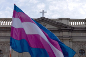 Fotografía de archivo que muestra la bandera trans. EFE/ Ailen Díaz