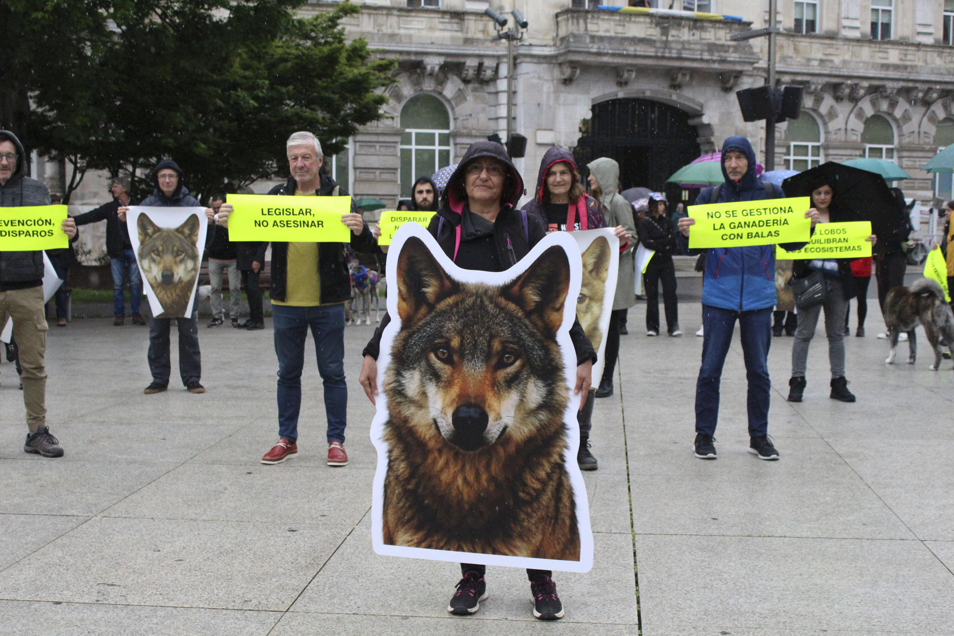 Concentración en defensa del lobo ibérico este sábado en Santander. EFE/Eva García González