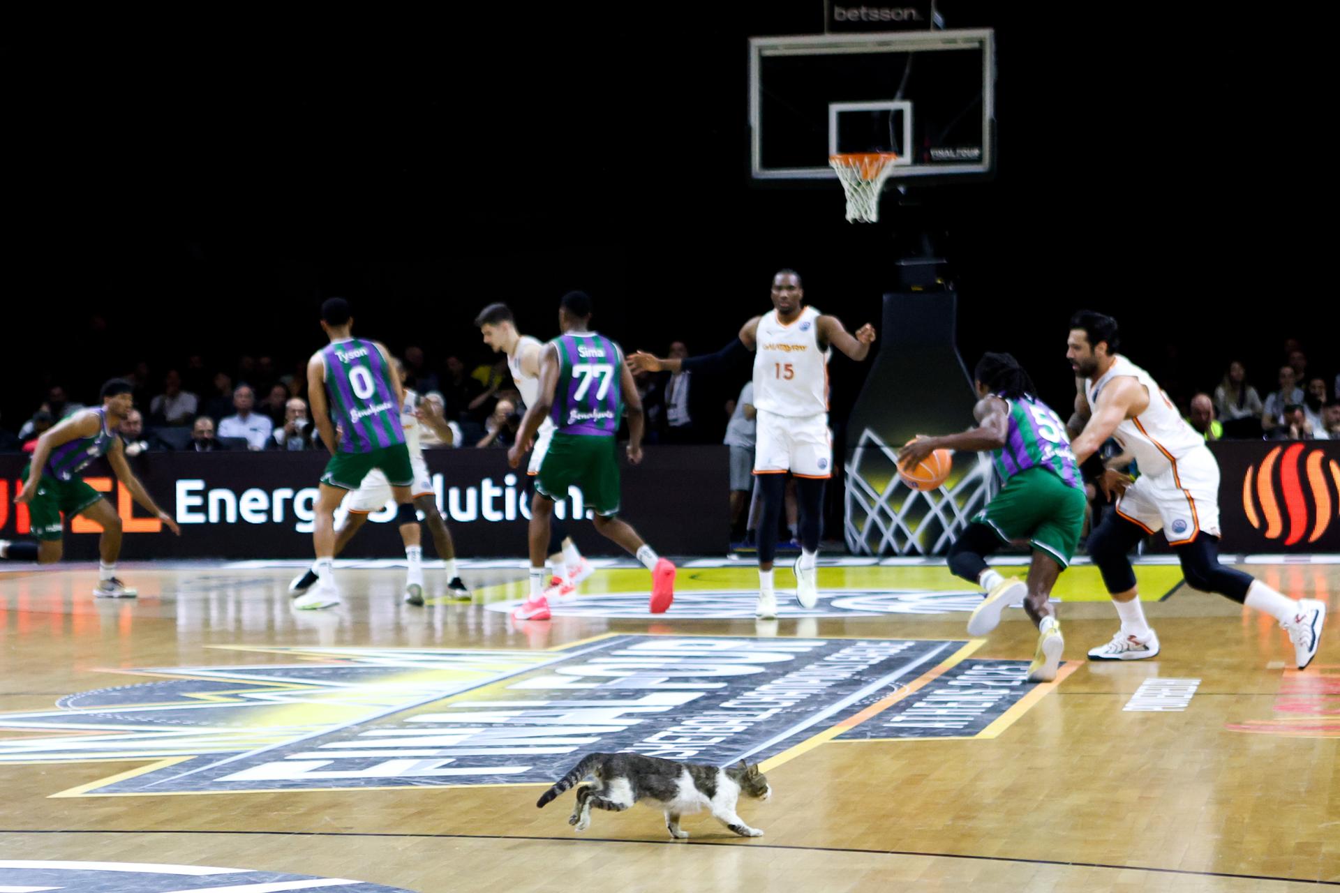 Acción de la final que han jugado Galatasaray SK y Unicaja Baloncesto Malaga, in Ano Liosia, Atenas. EFE/EPA/GEORGIA PANAGOPOULOU