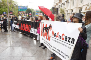 El partido animalista PACMA ha convocado una concentración en defensa del lobo ibérico frente al Congreso de los Diputados, este miércoles. EFE/ J.P. Gandul