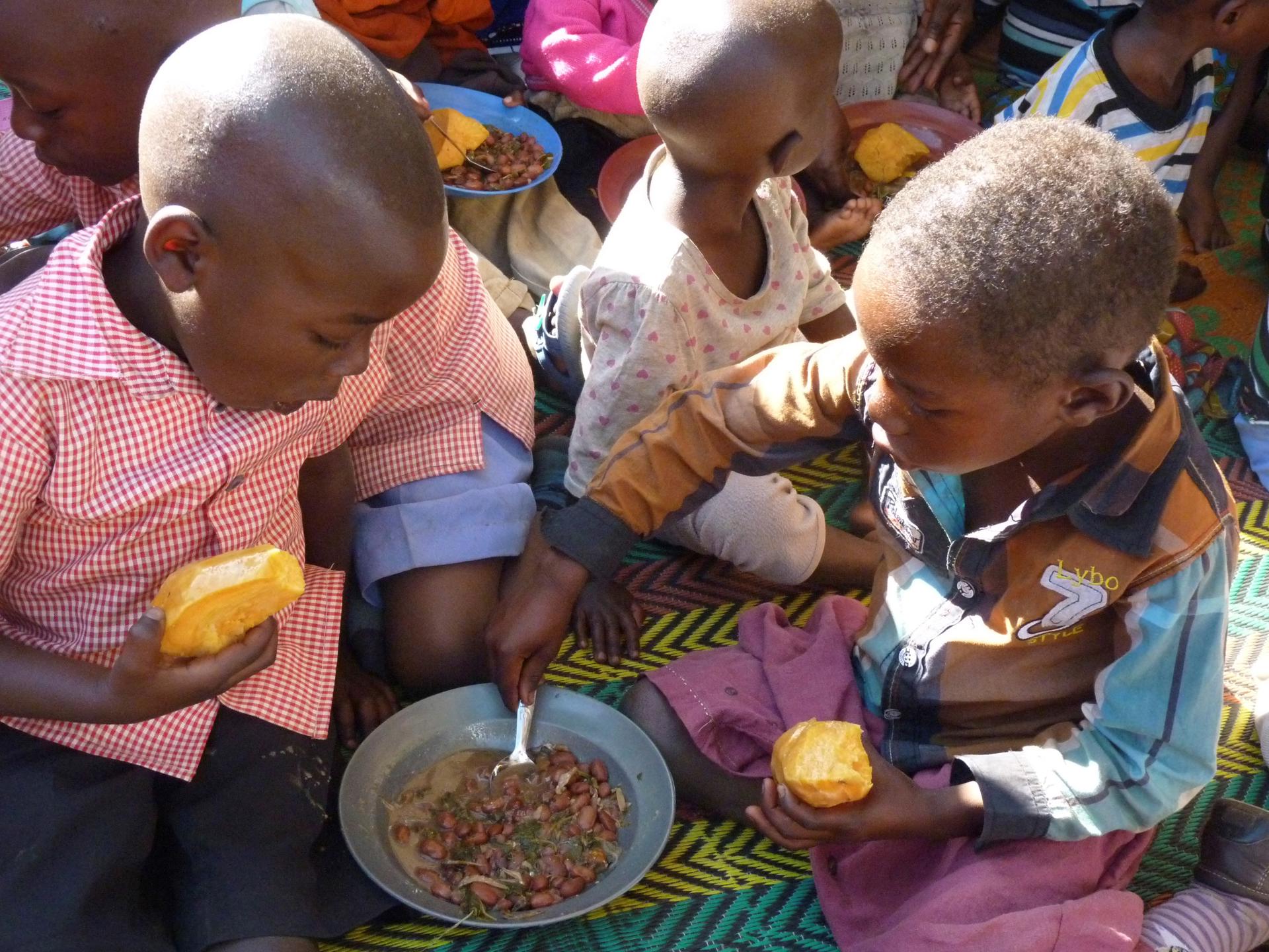 Foto archivo. Varios niños comen un plato que contienen, entre otros alimentos, judías enriquecidas con hierro que han sido cultivadas en la zona de Musanze, en el norte de Ruanda.. Cuatro de cada diez niños sufre desnutrición crónica en Ruanda, una cifra detrás de la que se esconden graves carencias que en el país africano están intentando remediar en parte cultivando judías enriquecidas con hierro. La alimentación deficiente de las futuras madres pone en riesgo la salud de los hijos. Un retraso en el crecimiento durante sus primeros mil días puede dejarles secuelas de por vida. En Ruanda, el 38 % de los menores de cinco años padecen desnutrición crónica y, aunque el porcentaje ha bajado del 52 % que había en 2005, sigue siendo superior al 34 % de media en África subsahariana. EFE/Belén Delgado