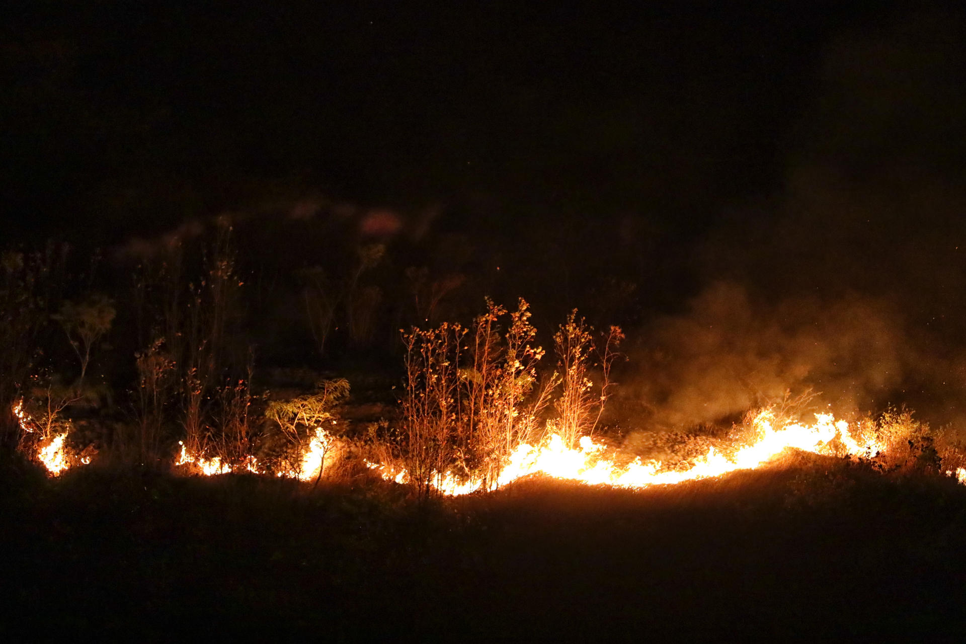 Fotografía de archivo que muestra un incendio forestal cerca a Tegucigalpa (Honduras). EFE/ Gustavo Amador