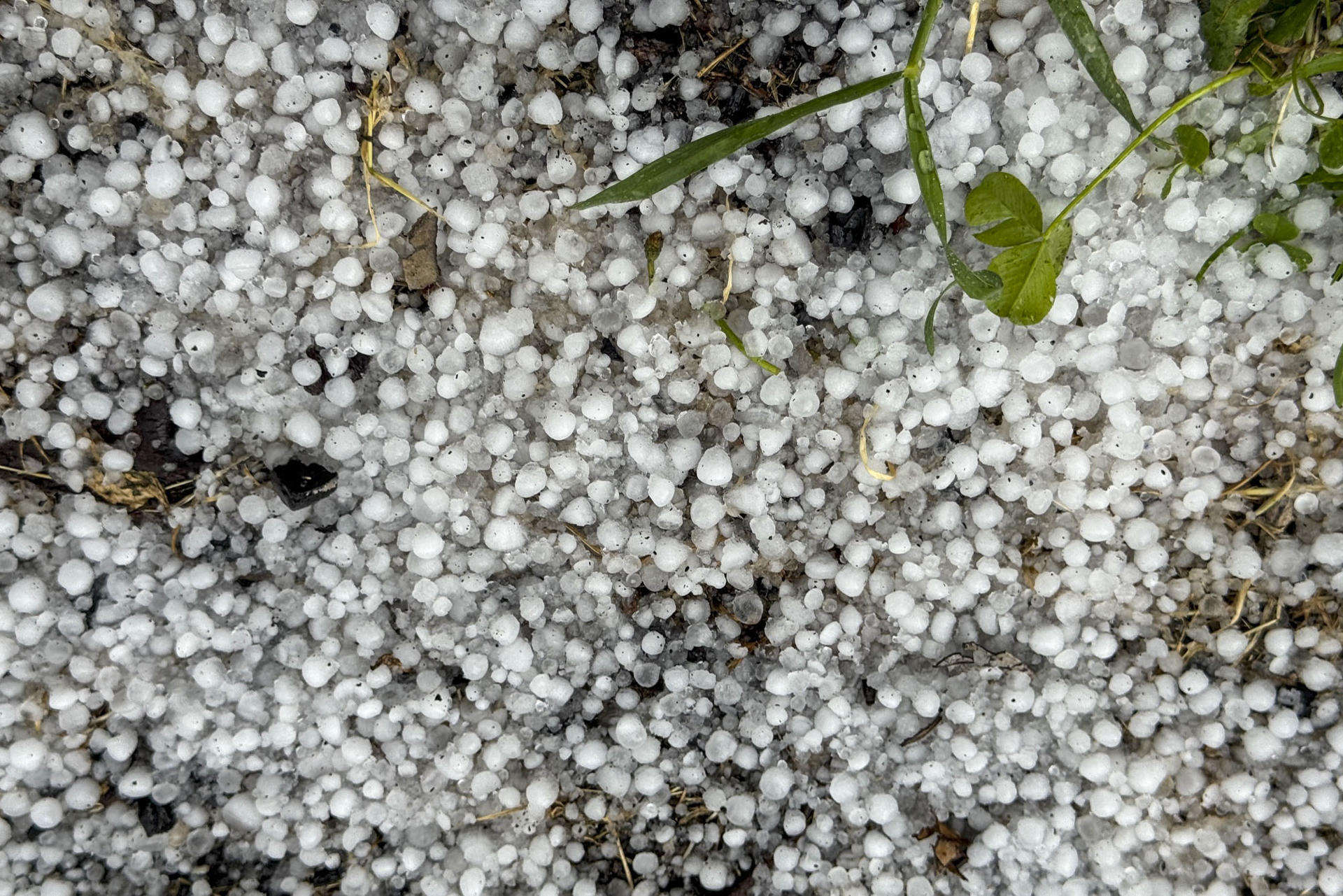 Tormenta eléctrica y granizo en A Cañiza, Pontevedra, este jueves. EFE/ Sxenick