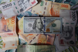 Fotografía de archivo en donde se ven dolares y pesos, en Buenos Aires (Argentina). EFE/ Juan Ignacio Roncoroni