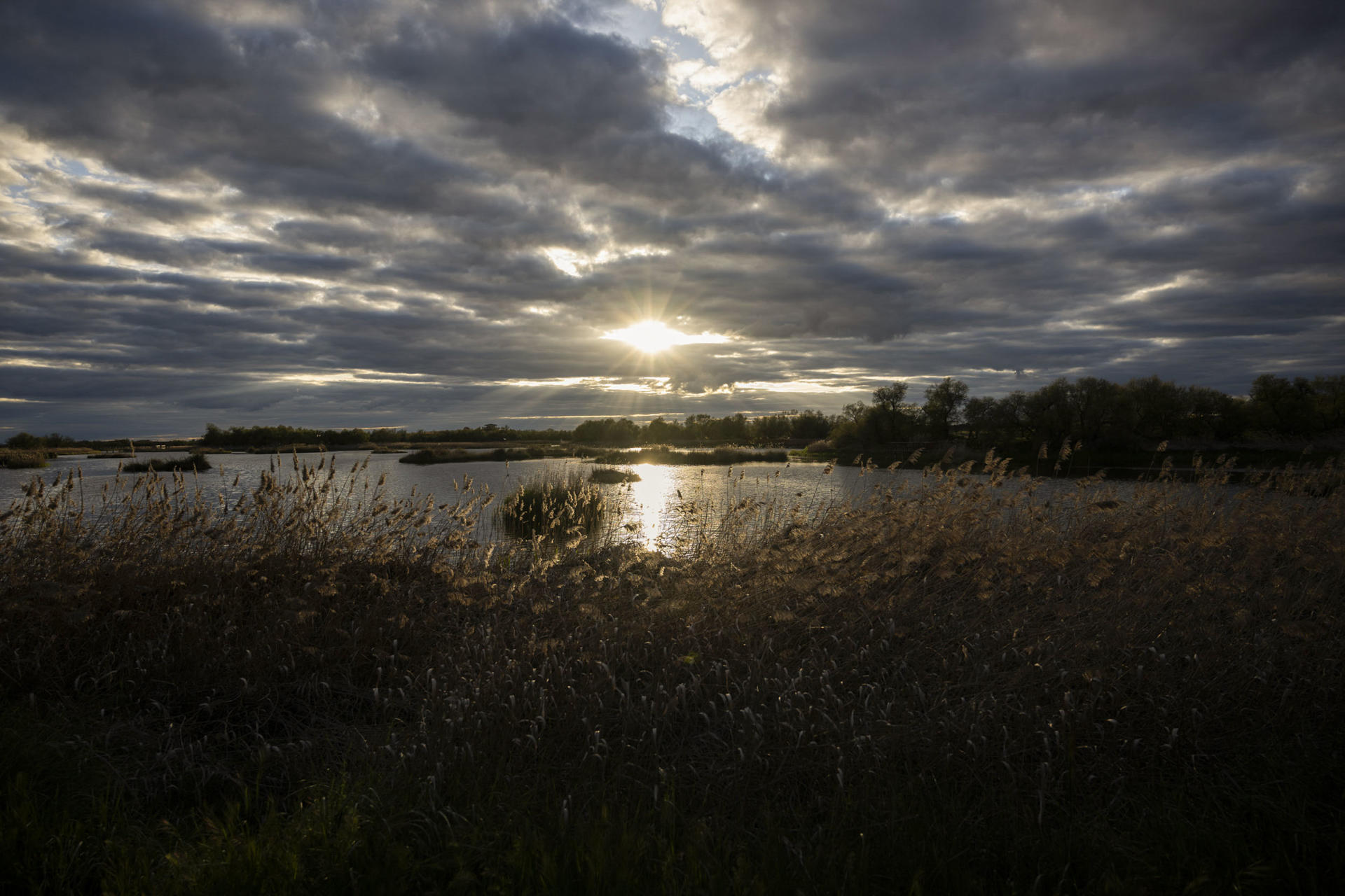 Vista de una zona del parque nacional de las Tablas de Daimiel, en la provincia de Ciudad Real, este lunes. EFE/Jesús Monroy