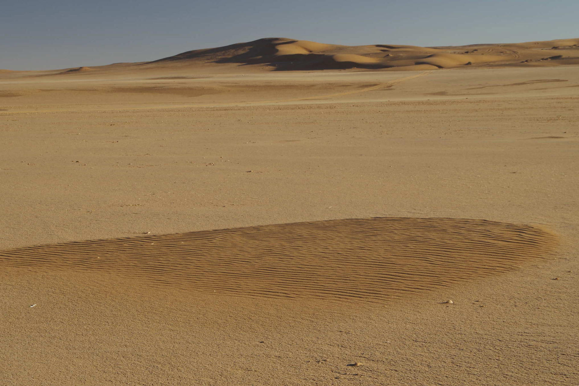 El escaneado láser de alta resolución en el desierto de Namibia ha permitido a los científicos describir cómo se forman las dunas de arena más pequeñas, aquellas que no están en desiertos sino en playas o superficies duras. EFE/Imágenes cedidas por la Universidad de Southampton.