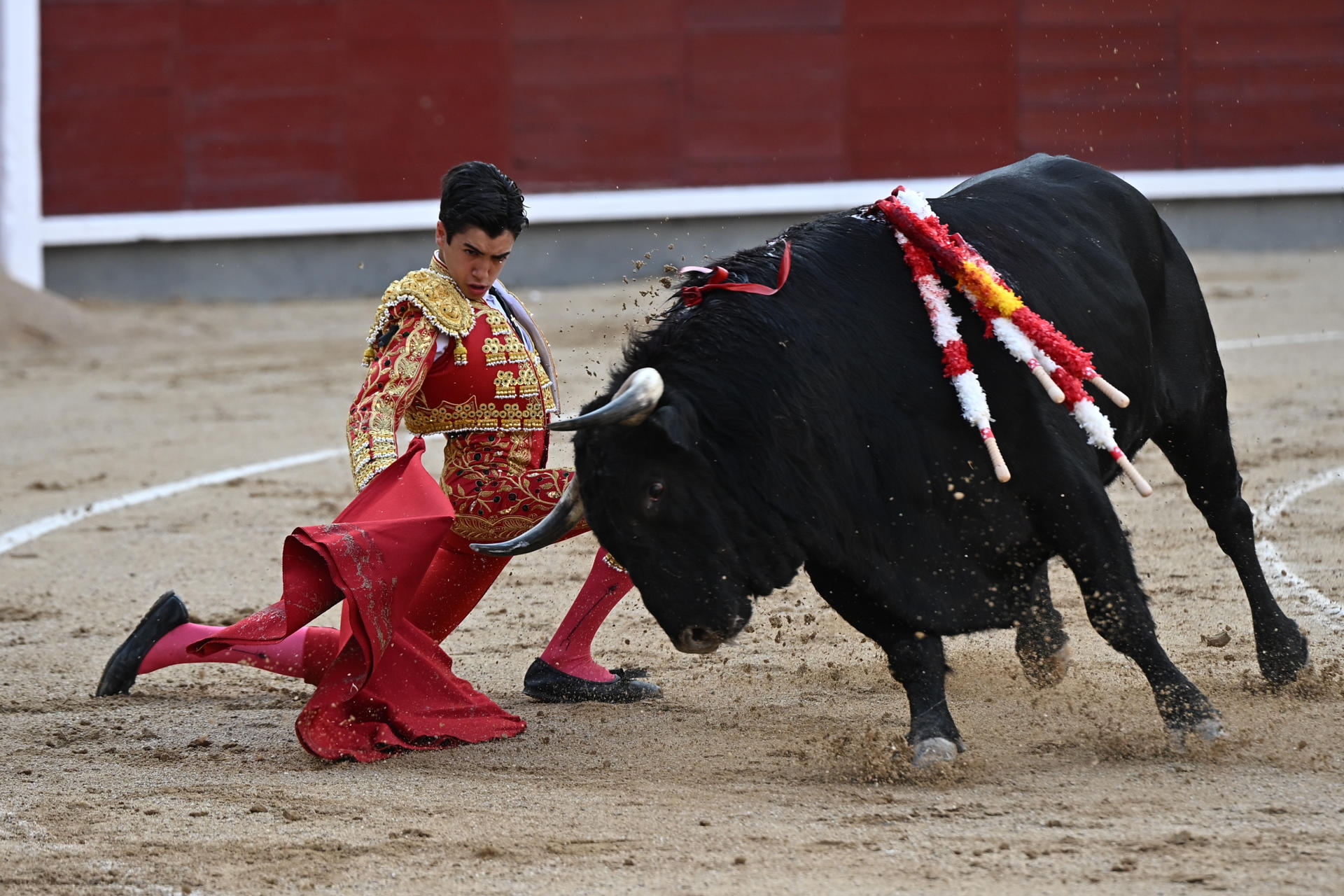 El novillero Marco Pérez durante una novillada con picadores, con reses de Fuente Ymbro y El Freixo, este viernes en la plaza de toros de Las Ventas, en Madrid. EFE/ Fernando Villar
