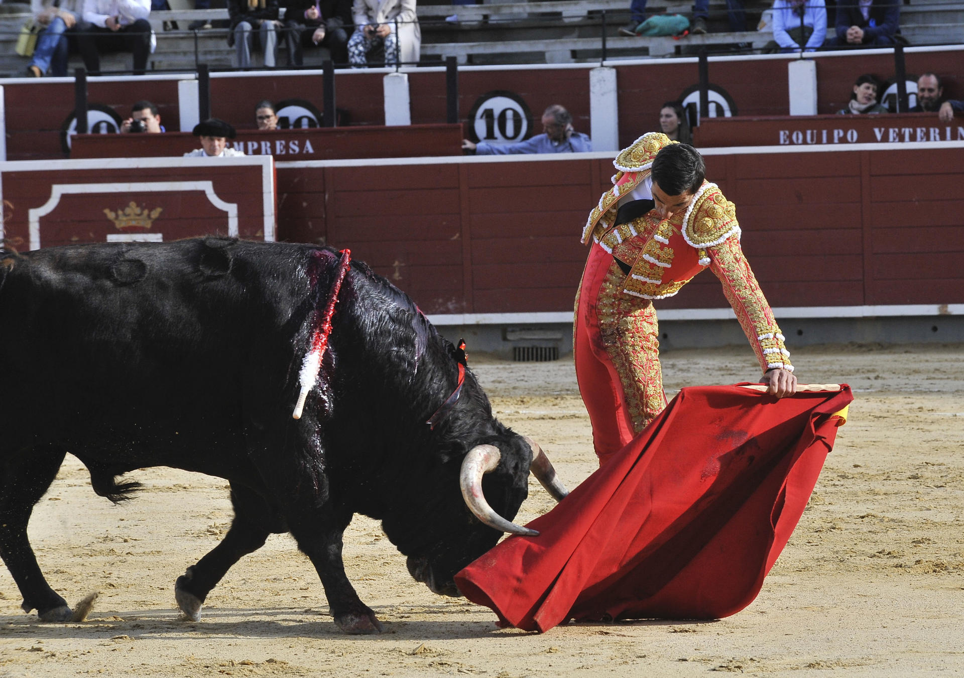 El diestro Paco Ureña en su faena durante la tradicional corrida de Asprona que se ha celebrado hoy sábado en la plaza de toros de Albacete. EFE / Manu.