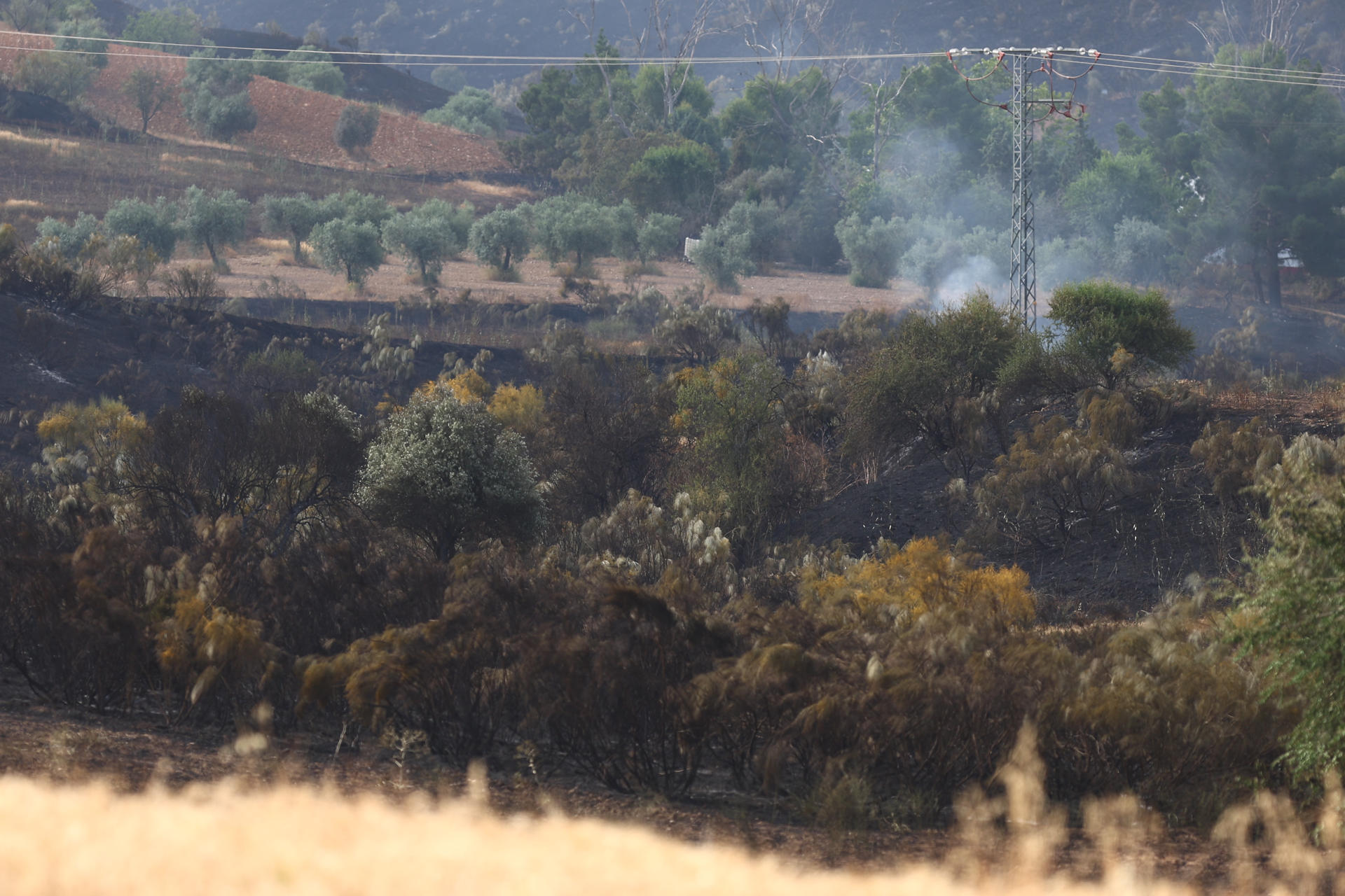 El servicio de Prevención y Extinción de Incendios Forestales de Castilla-La Mancha ha dado este martes por controlado el incendio forestal que se originó ayer, lunes, por la tarde en las Barrancas de Burujón (Toledo) y que obligó a desalojar a 33 personas de una urbanización próxima, si bien los vecinos ya han podido regresar a sus casas. EFE/Ismael Herrero