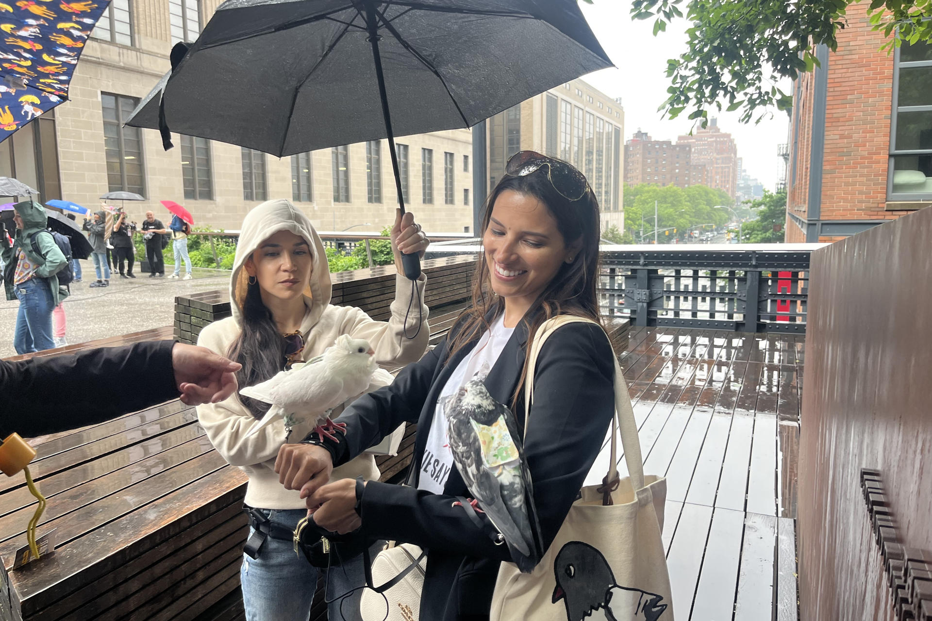 La ciudad de Nueva York dedicó un festival a las palomas, las aves más típicas de los entornos urbanos, al que acudieron aficionados a la ornitología de todas las edades y grupos de activistas que reivindicaron mayores protecciones para los pájaros.EFE/ Nora Quintanilla