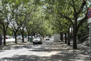 Imagen de la calle Aviación de Sevilla, donde este sábado era asesinado un joven de unos 20 años junto a una discoteca, en un suceso que investiga la Policía Nacional. EFE/Fermín Cabanillas