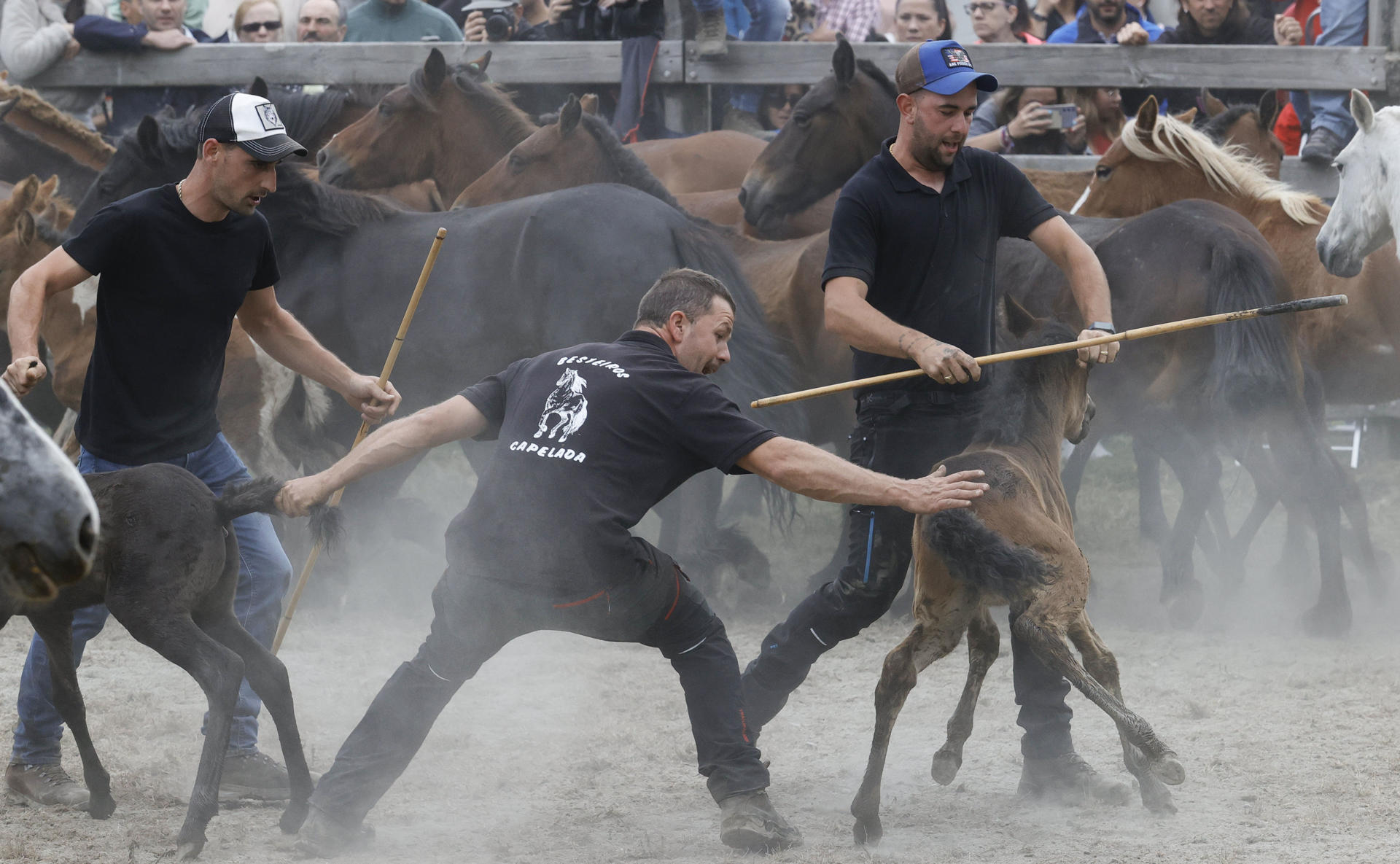 Imagen de la Rapa das Bestas. EFE/Kiko Delgado