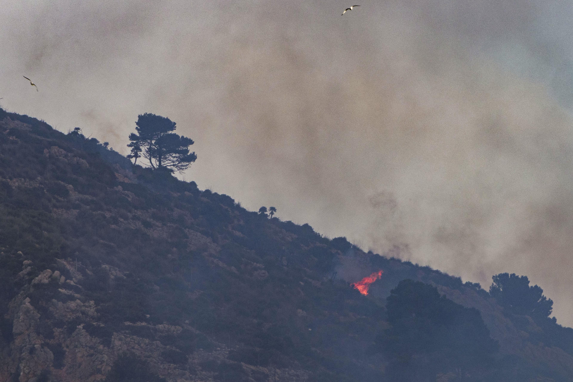 Fotografía de archivo de las tareas de extinción de un incendio forestal. EFE/ Cati Cladera