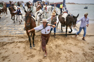Las hermandades de Cádiz cruzan el río Guadalquivir en el Bajo Guía de Sanlúcar de Barrameda, para adentrarse en Doñana y seguir por este espacio su camino a la aldea del Rocío, una romería que culminará el próximo lunes. EFE/Román Ríos