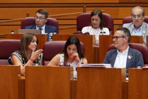 La portavoz del Grupo Parlamentario Socialista en las Cortes de Castilla y León, Patricia Gómez (i), conversa con sus compañeros de bancada,Nuria Rubio y Pedro González, durante la sesión plenaria celebrada este miércoles en Valladolid. EFE/ Nacho Gallego