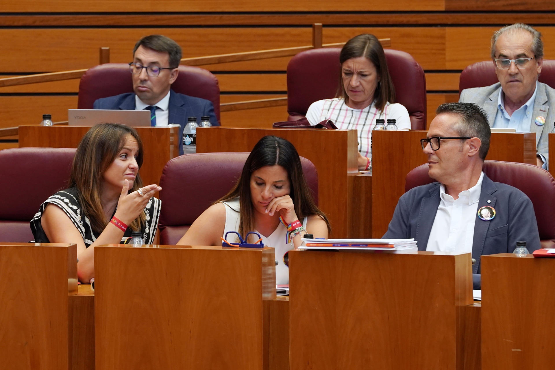 La portavoz del Grupo Parlamentario Socialista en las Cortes de Castilla y León, Patricia Gómez (i), conversa con sus compañeros de bancada,Nuria Rubio y Pedro González, durante la sesión plenaria celebrada este miércoles en Valladolid. EFE/ Nacho Gallego