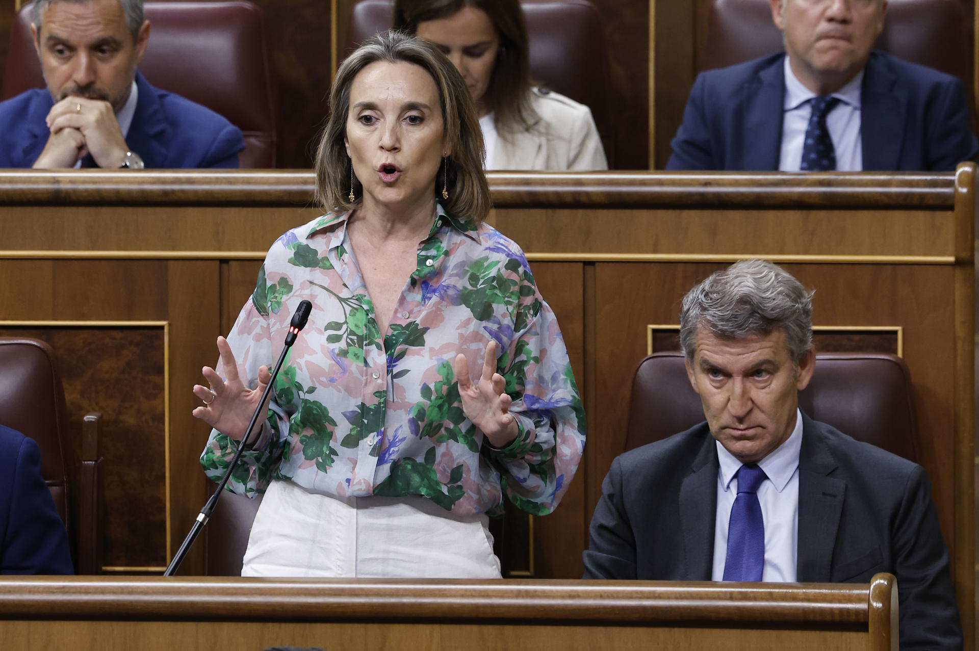 La diputada del PP, Cuca Gamarra, interviene en la sesión de control al Gobierno en el Congreso de los Diputados, este miércoles. EFE/Chema Moya