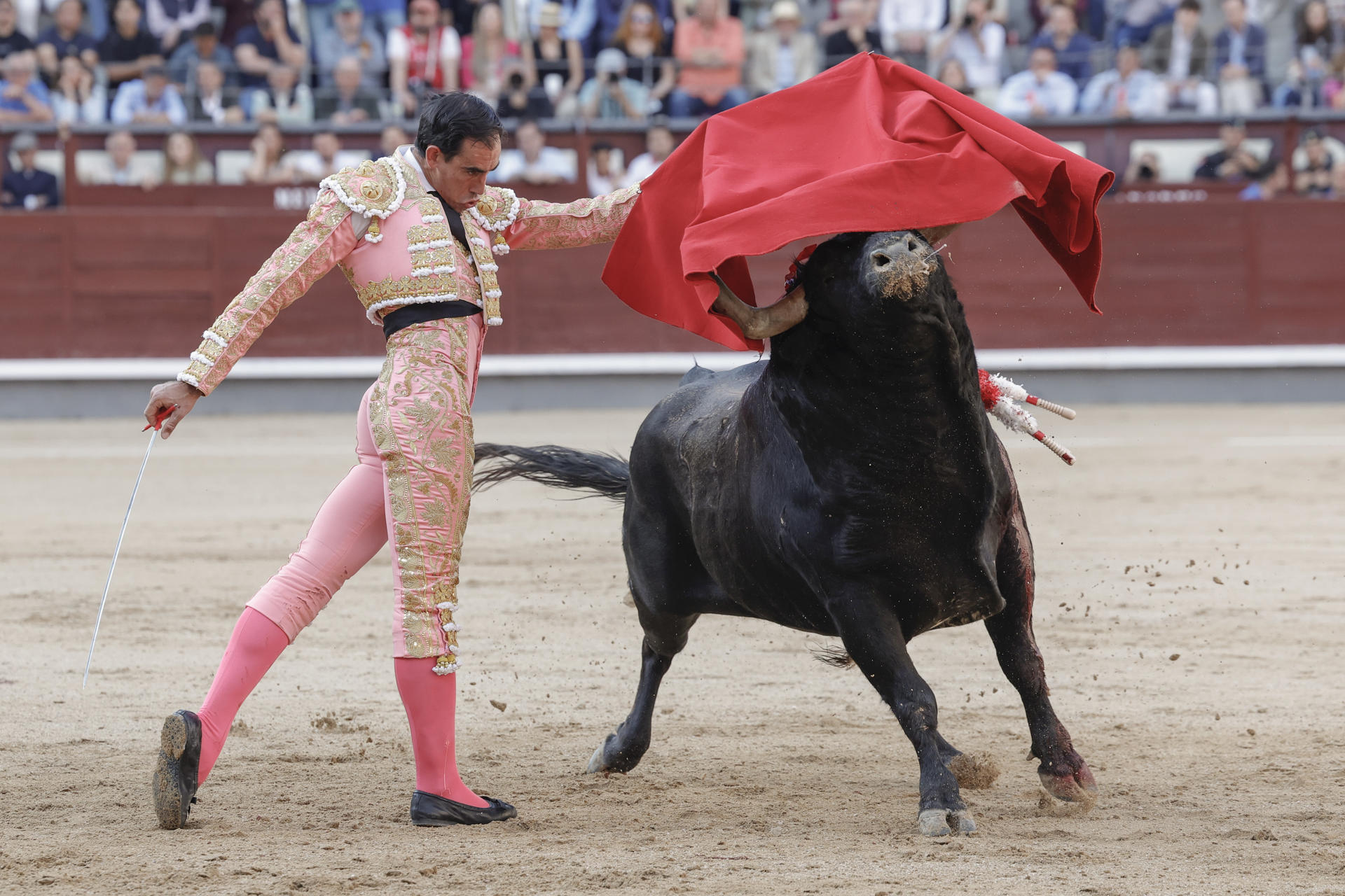 El diestro Saúl Jiménez Fortes da un pase a su primer astado en ell festejo taurino de la Feria de San Isidro con reses de Araúz de Robles este miércoles en la plaza de toros de Las Ventas, en Madrid. EFE/ Zipi