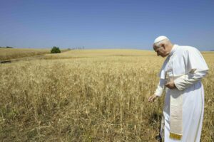 Una imagen de archivo proporcionada por Vatican Media muestra al Papa León XIV de pie en un campo de trigo con motivo de la visita al centro de transmisión de onda corta de Radio Vaticano, en Santa Maria di Galeria, cerca de Roma, Italia, 19 de junio de 2025. EFE/EPA/VATICAN MEDIA HANDOUT HANDOUT USO EDITORIAL SOLAMENTE/NO VENTAS