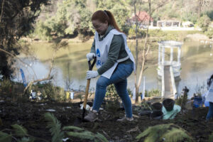 Una voluntaria reforesta con especies nativas una ladera del Jardín Botánico Nacional de Viña del Mar este sábado, en Viña del Mar (Chile). EFE/ Adriana Thomasa