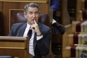 Imagen del líder del Partido Popular, Alberto Núñez Feijóo. EFE/ Javier Lizón