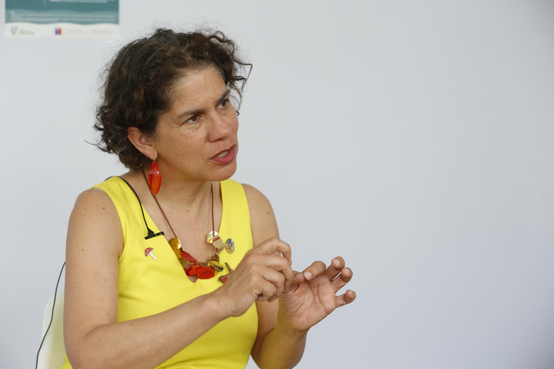 Imagen de archivo de la ministra de Medio Ambiente de Chile, Maisa Rojas. EFE/ Ernesto Guzmán Jr.