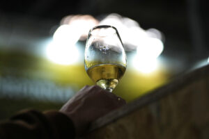 Imagen de archivo de una copa de vino. EFE/Alejandro García