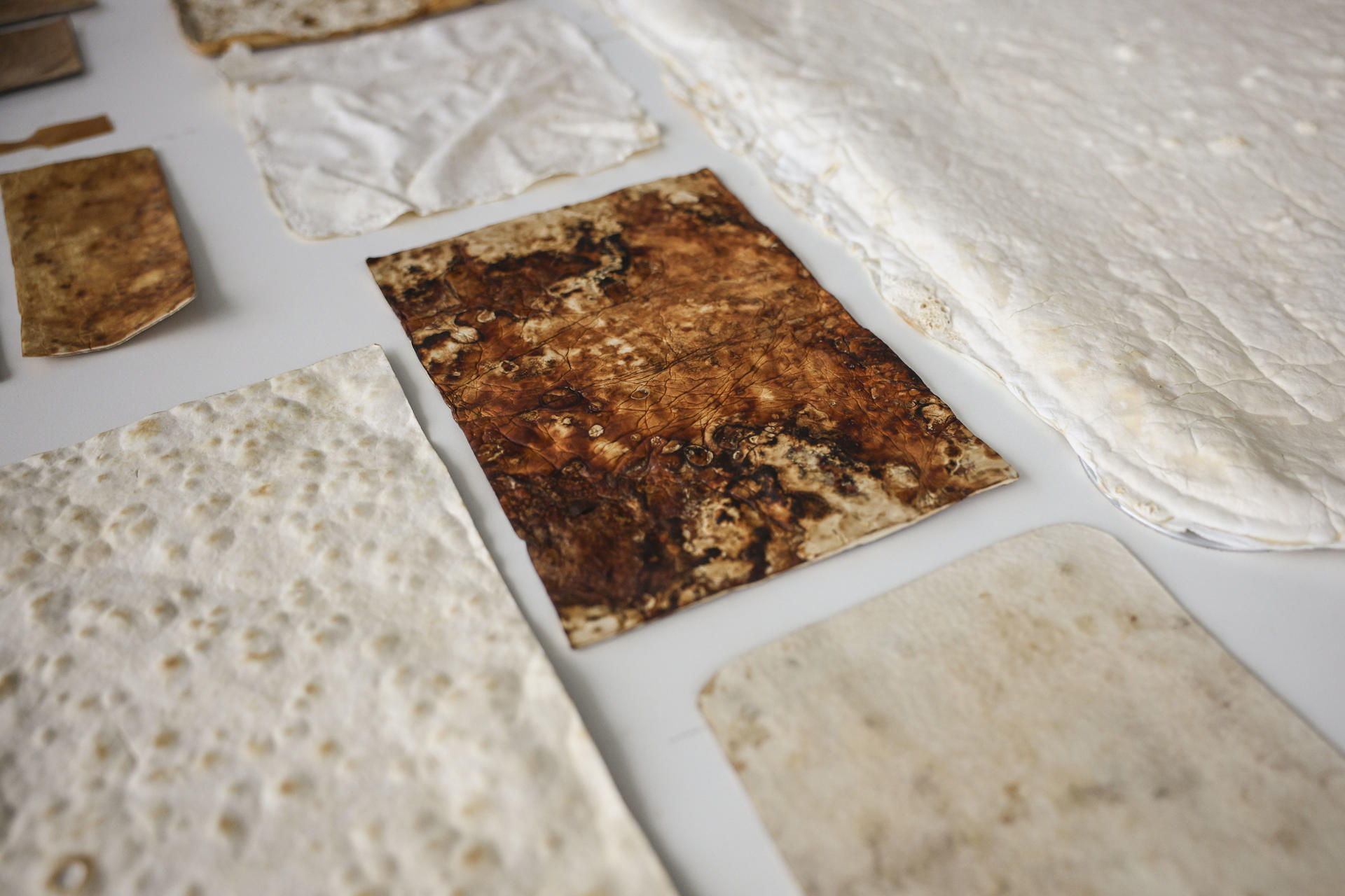 Muestras de tejidos y materiales a base de champiñones realizados por el equipo de la investigadora de la Universidad Flamenca de Bruselas, Anouk Verstuyft y Annah-Ololade Sangosanya. EFE/ Pablo Garrigós