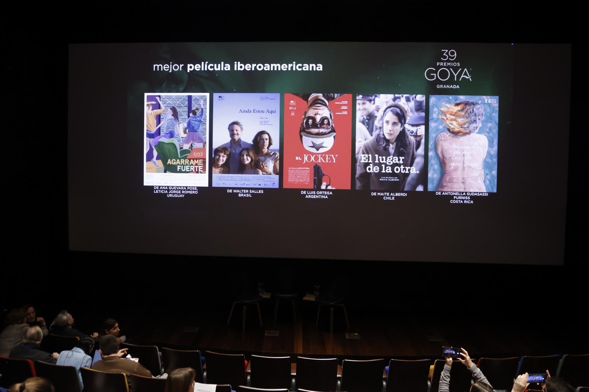 Foto de archivo que muestra la cartelera de cine de algunas películas chilenas en los Premios Goya edición 39. EFE/ Blanca Millez