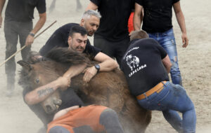 Imagen de la Rapa das Bestas. EFE/Kiko Delgado