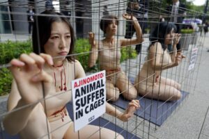 Activistas de PETA por los derechos de los animales se manifiestan frente a la sede de la junta anual de accionistas de Ajinomoto en Tokio, Japón, el 20 de junio de 2025. EFE/EPA/FRANCK ROBICHON