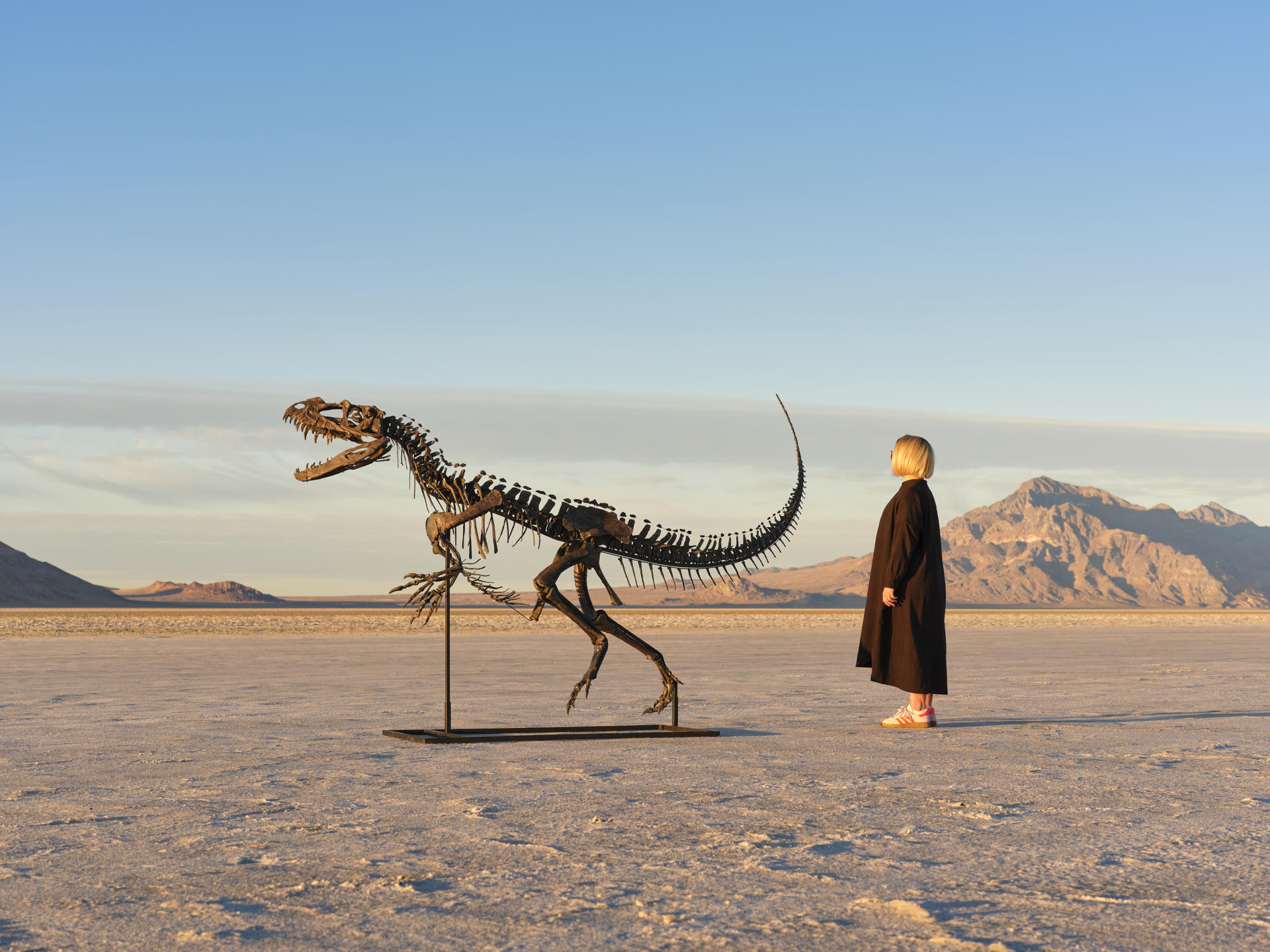 Fotografía cedida por Sotheby's que muestra el esqueleto de un dinosaurio Ceratosaurus, que será subastado en julio en Nueva York, al ser un único ejemplar juvenil conocido de esta especie de dinosaurio carnívoro que habitaba la Tierra hace unos 154-149 millones de años aproximadamente. EFE/ Matthew Sherman/ Sotheby's