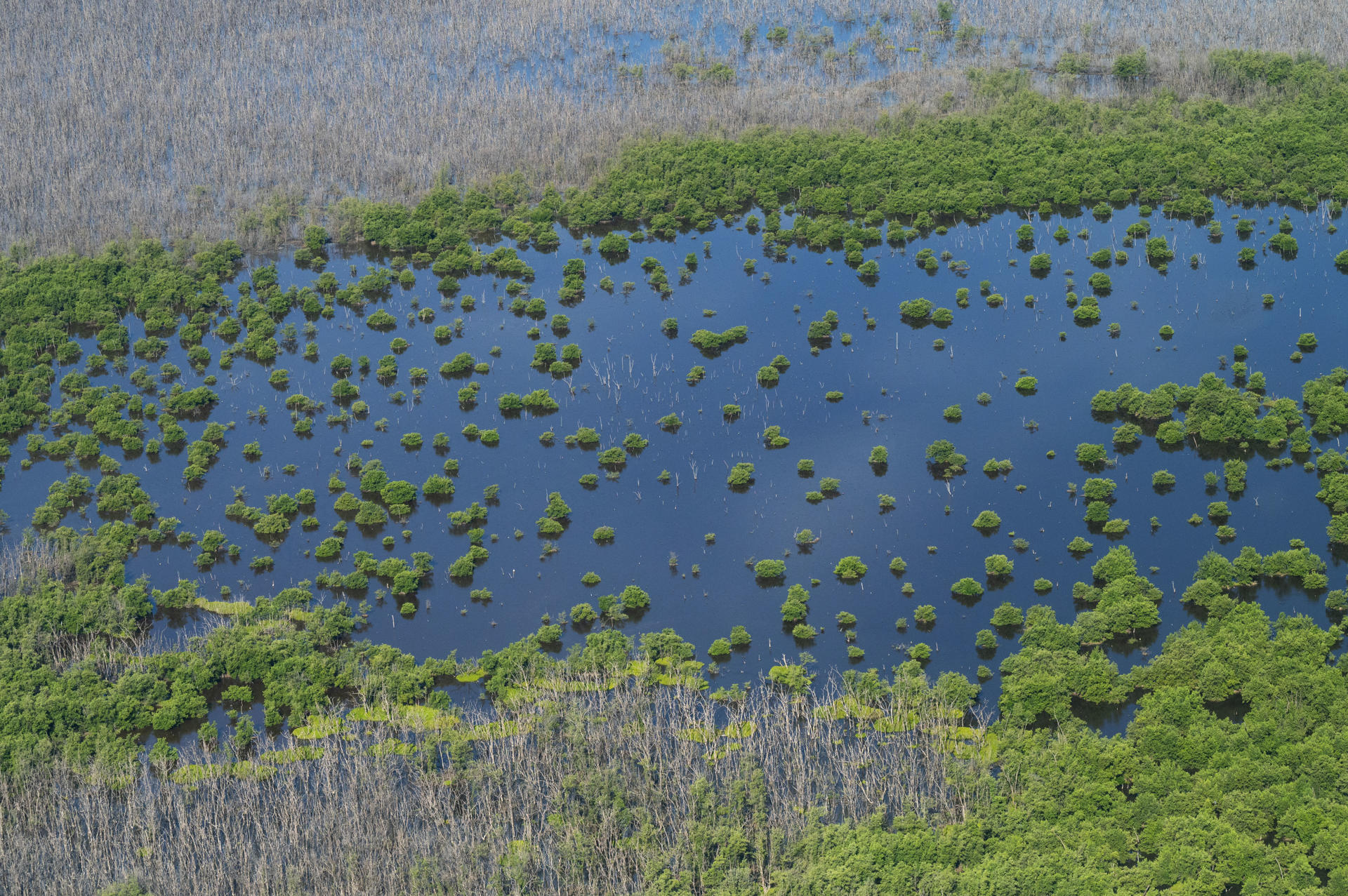 Fotografía aérea cedida por Friends of the Everglades del parque nacional de los Everglades en el estado de Florida. (Estados Unidos). EFE/ Leah Voss/ Friends of the Everglades
