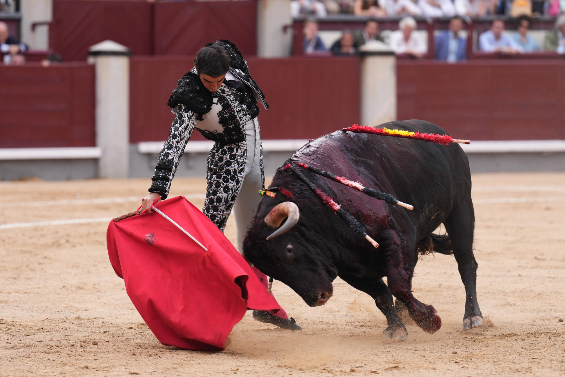 El torero Miguel Ángel Perera da un pase a su toro, durante la corrida de toros con reses de El Parralejo en la que encabeza el cartel junto a Fernando Adrián y Tomás Rufo. EFE/ Borja Sanchez-Trillo