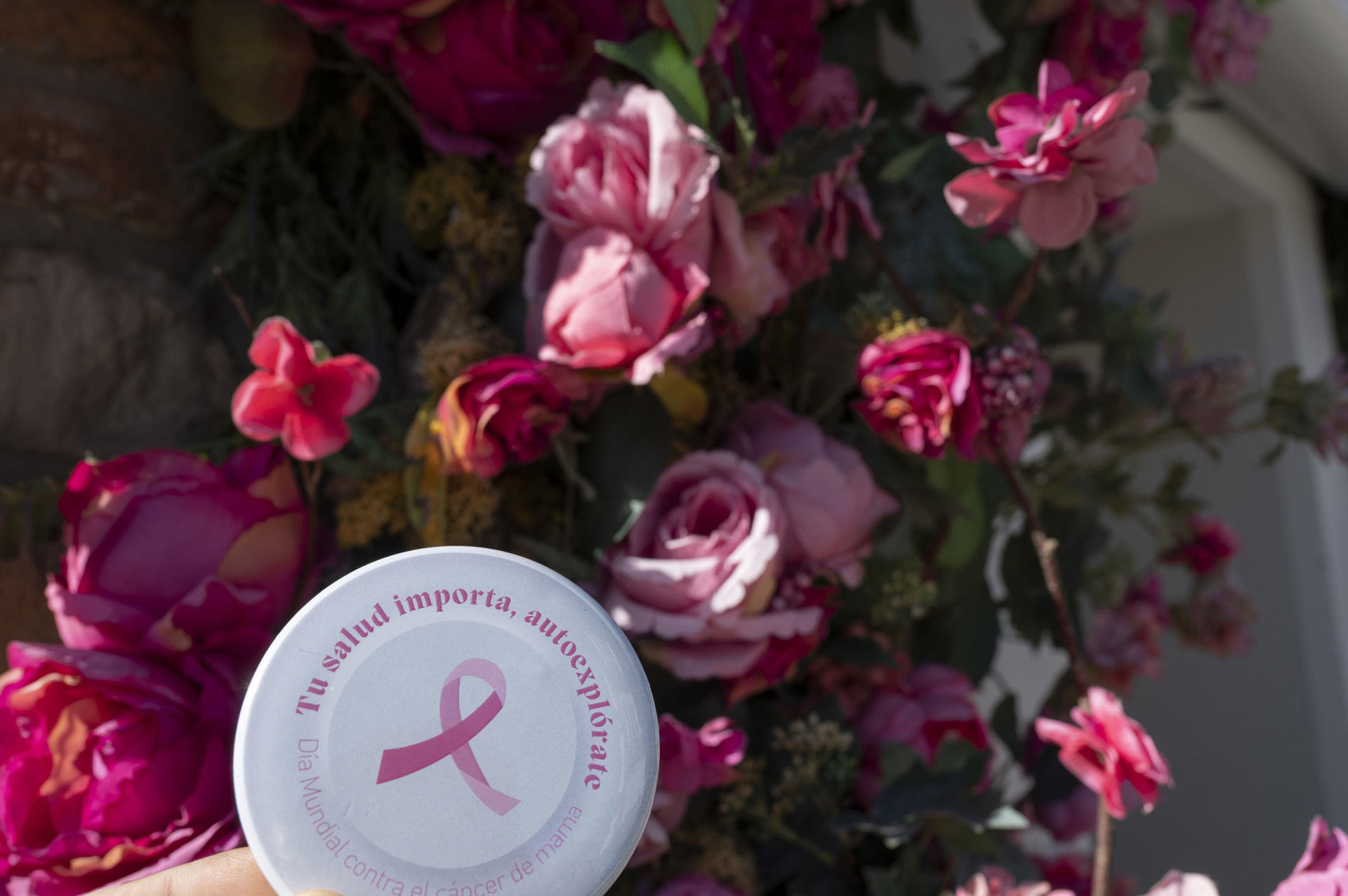 Fotografía de archivo del detalle de un pin del Día Mundial del Cáncer de Mama. EFE/Pedro Puente Hoyos