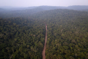 Fotografía aérea de archivo que muestra el Parque Nacional Amazonia en el estado de Pará (Brasil). EFE/ Isaac Fontana