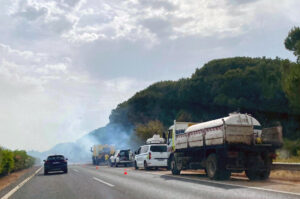 Tres grupos de bomberos forestales, un técnico de operaciones, un técnico de Extinción y dos coches autobombas, continúan en la zona de la Dehesa de las Yeguas en Puerto Real (Cádiz) donde la pasada noche se inició un incendio que el servicio andaluz de lucha contra los incendios Infoca da por estabilizado aunque siguen trabajando para su control. EFE/Román Ríos