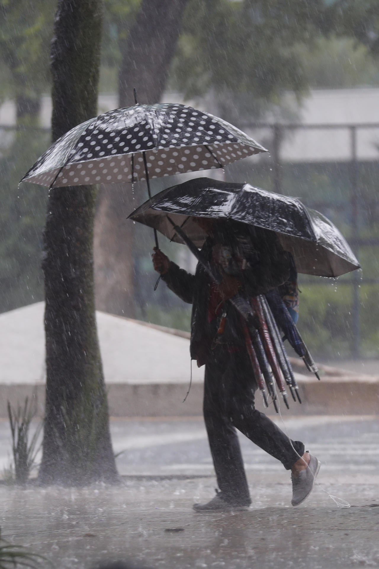 Una persona sostiene varias sombrillas bajo la lluvia este domingo, en Ciudad en México (México). EFE/ Isaac Esquivel
