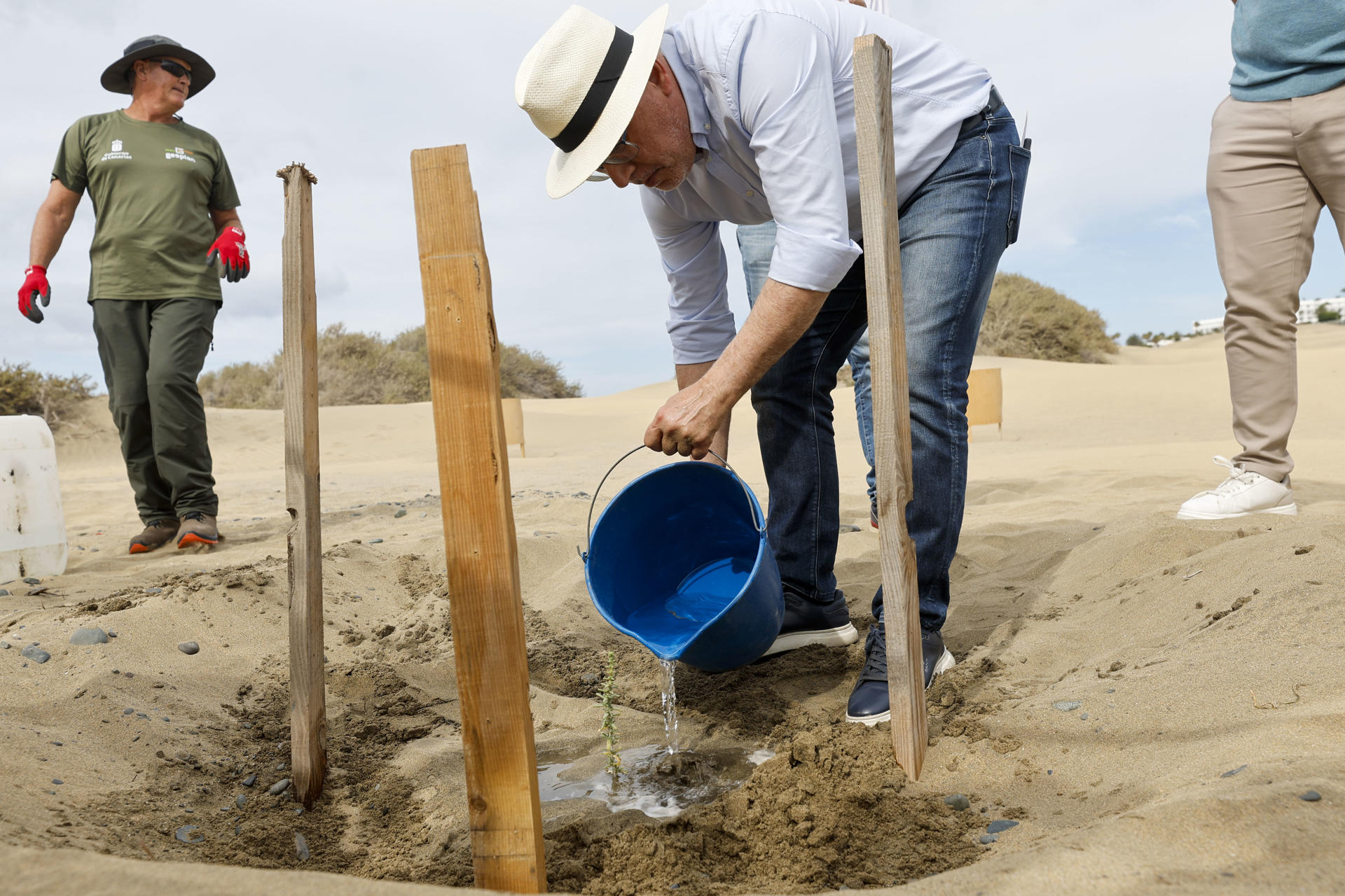 En la imagen, el presidente del Cabildo de Gran Canaria, Antonio Morales riega un balancón que acababa de plantar en la zona de las dunas de Maspalomas dentro del proyecto Masdunas II de recuperación del área. EFE/ Elvira Urquijo A.