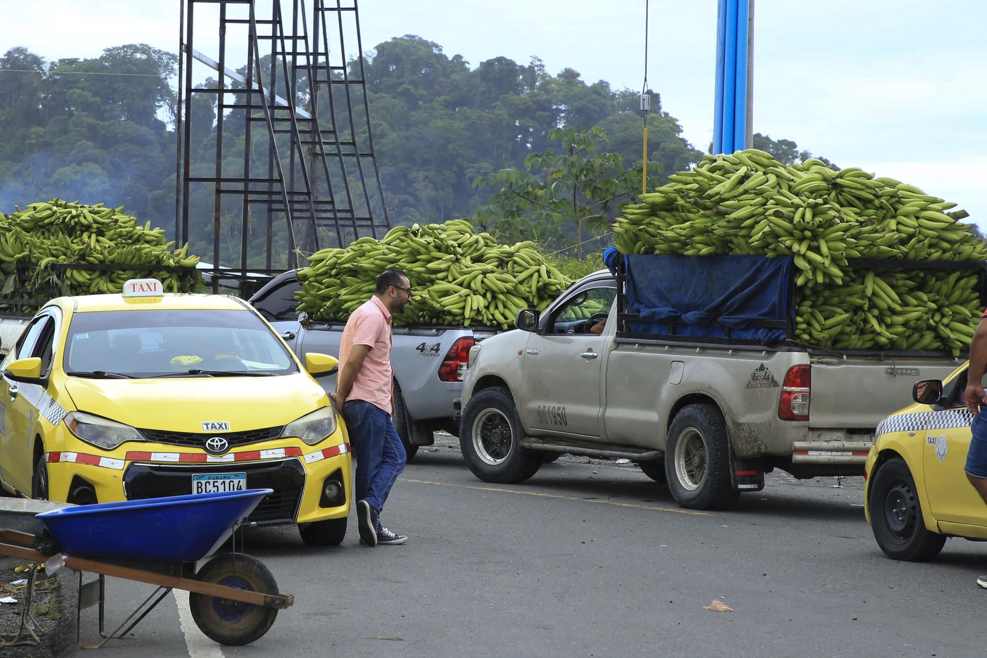 Fotografía archivo de vehículos cargados de bananos en medio del bloqueo de una carretera, en Changuinola, provincia caribeña de Bocas del Toro (Panamá). EFE/ Diubanes Robles