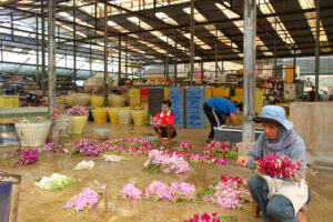 NAKHON PATHOM (TAILANDIA), 29/06/2025.- Detrás de un masaje en Tailandia hay una industria del bienestar soportada por casi 29.000 empresas y por un Gobierno que busca oxigenar el turismo, con menos llegadas de lo esperado, e impulsar la economía, en medio de reajustes a la baja de su crecimiento. El segundo PIB del Sudeste Asiático, altamente dependiente del turismo y las exportaciones, se enfrenta a dos obstáculos: por un lado está inmerso en negociaciones comerciales con Washington, que amenaza con imponer un arancel a Bangkok del 36 %, y por otro intenta resucitar el turismo, palanca que ha funcionado en el pasado y que intenta empujar a niveles más altos.