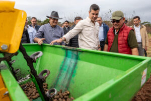 Fotografía cedida por la Presidencia de Paraguay del mandatario, Santigo Peña (C), durante el lanzamiento de la Campaña 2025 del cultivo de papa, este sábado, en La Colmena (Paraguay). EFE/ Presidencia de Paraguay