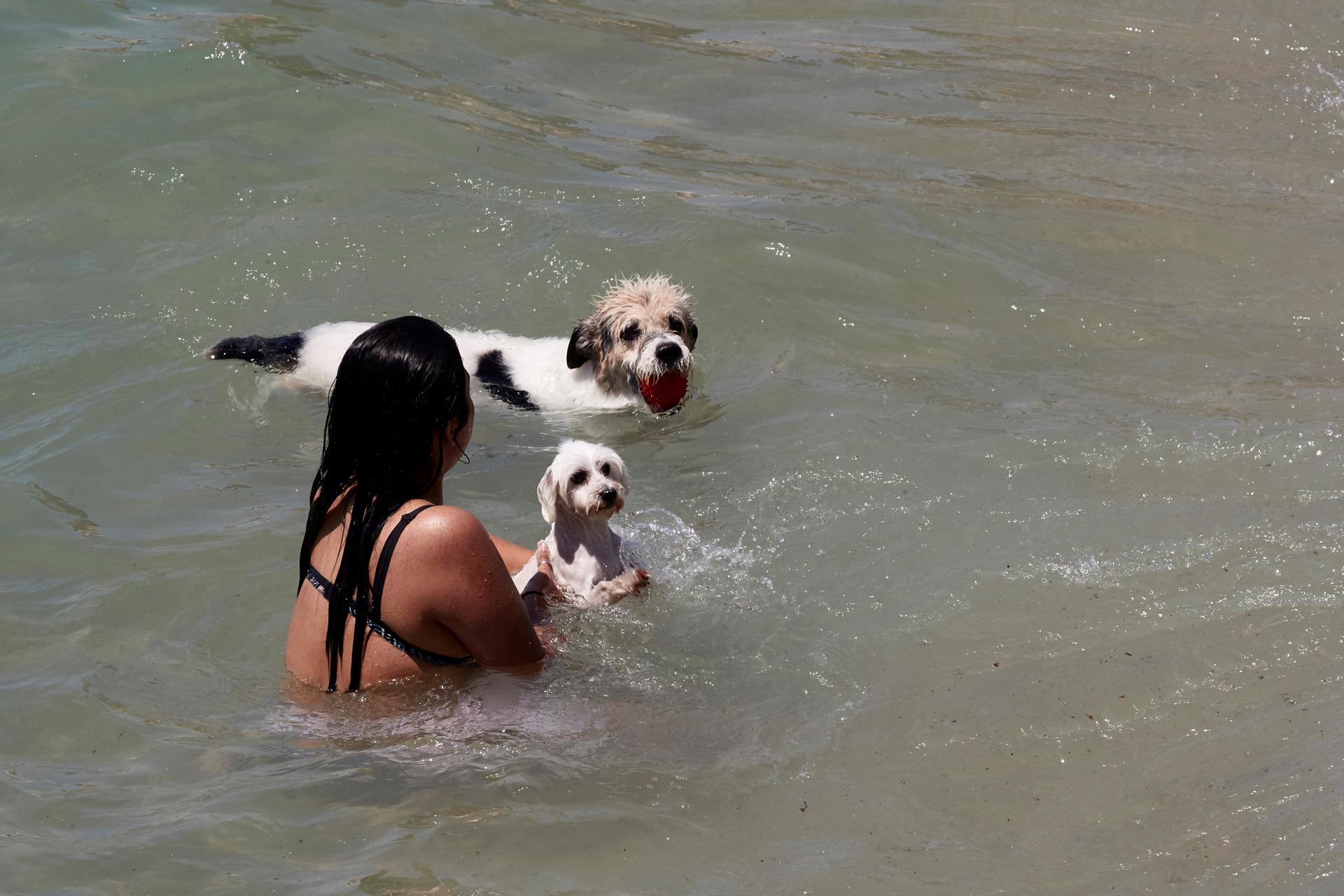 Una bañista con sus mascotas en una playa de perros. EFE/Alejandro García