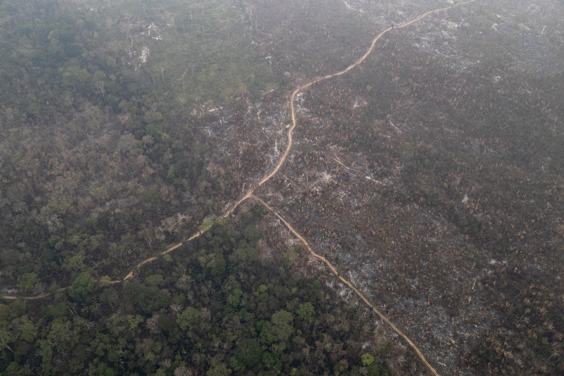 Imagen de archivo aérea de deforestación en la Amazonía brasileña. EFE/ Isaac Fontana