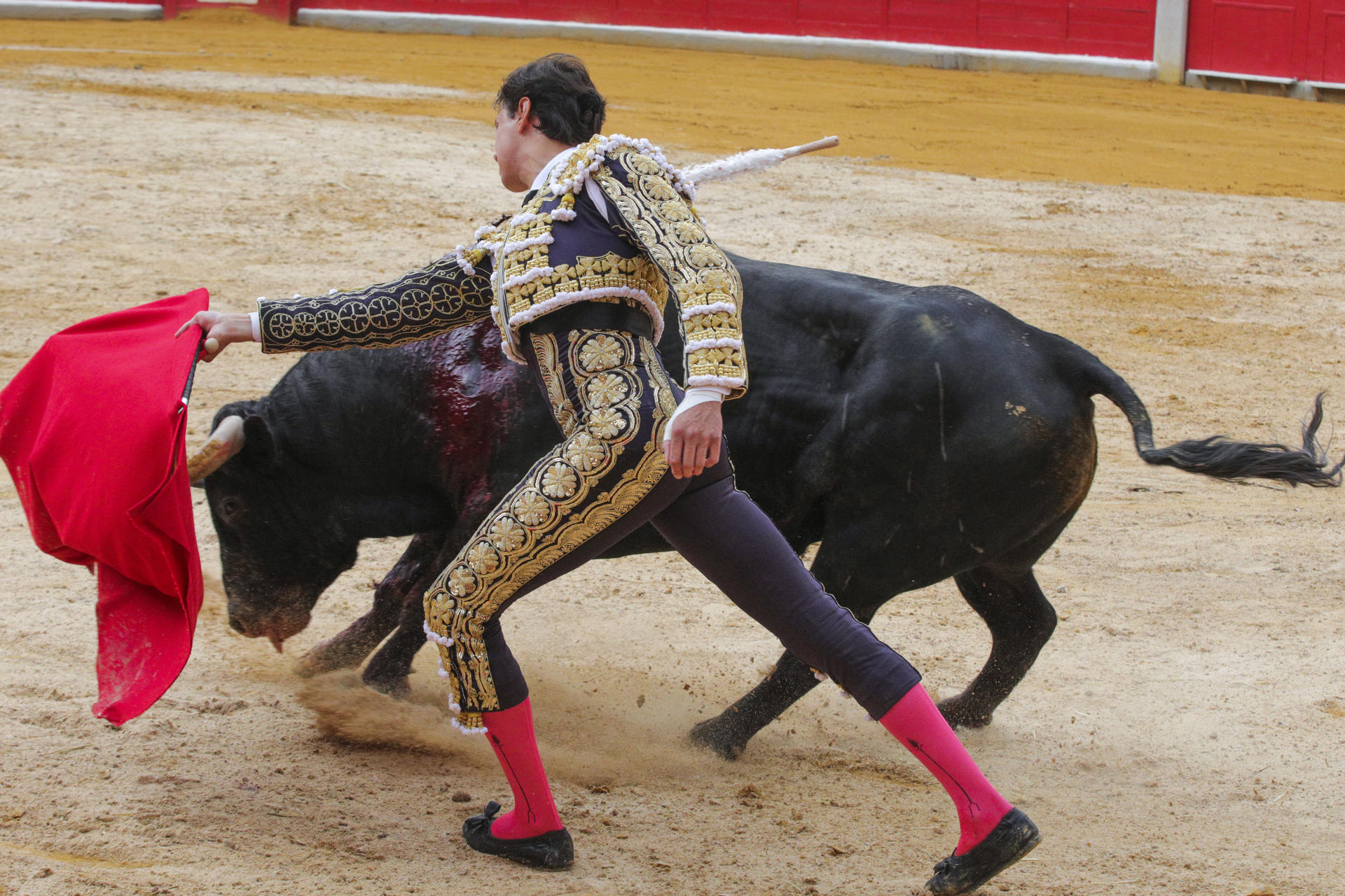 El diestro peruano Roca Rey durante el festejo taurino de las Fiestas del Corpus Christi celebrado este viernes en la Monumental El Frascuelo de Granada. EFE/Pepe Torres.
